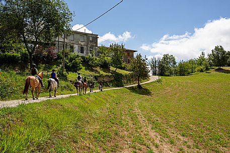 Horse riding Alta Langa